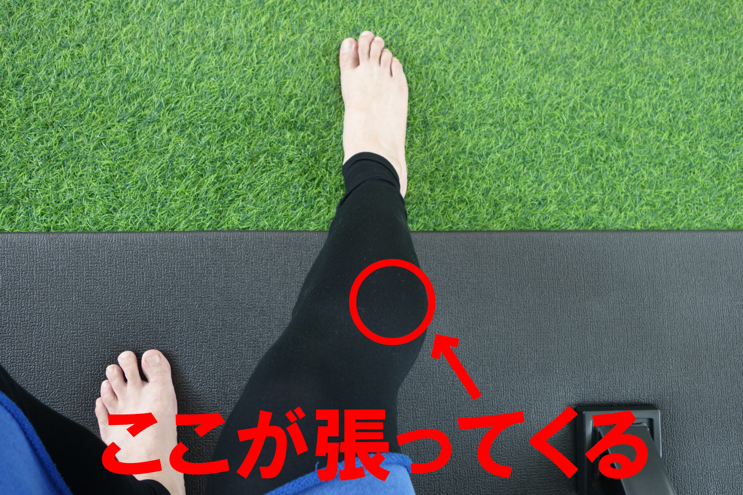 張っている部位
