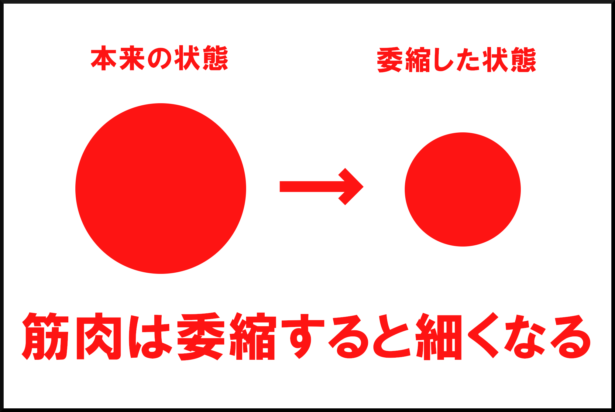 委縮した筋肉