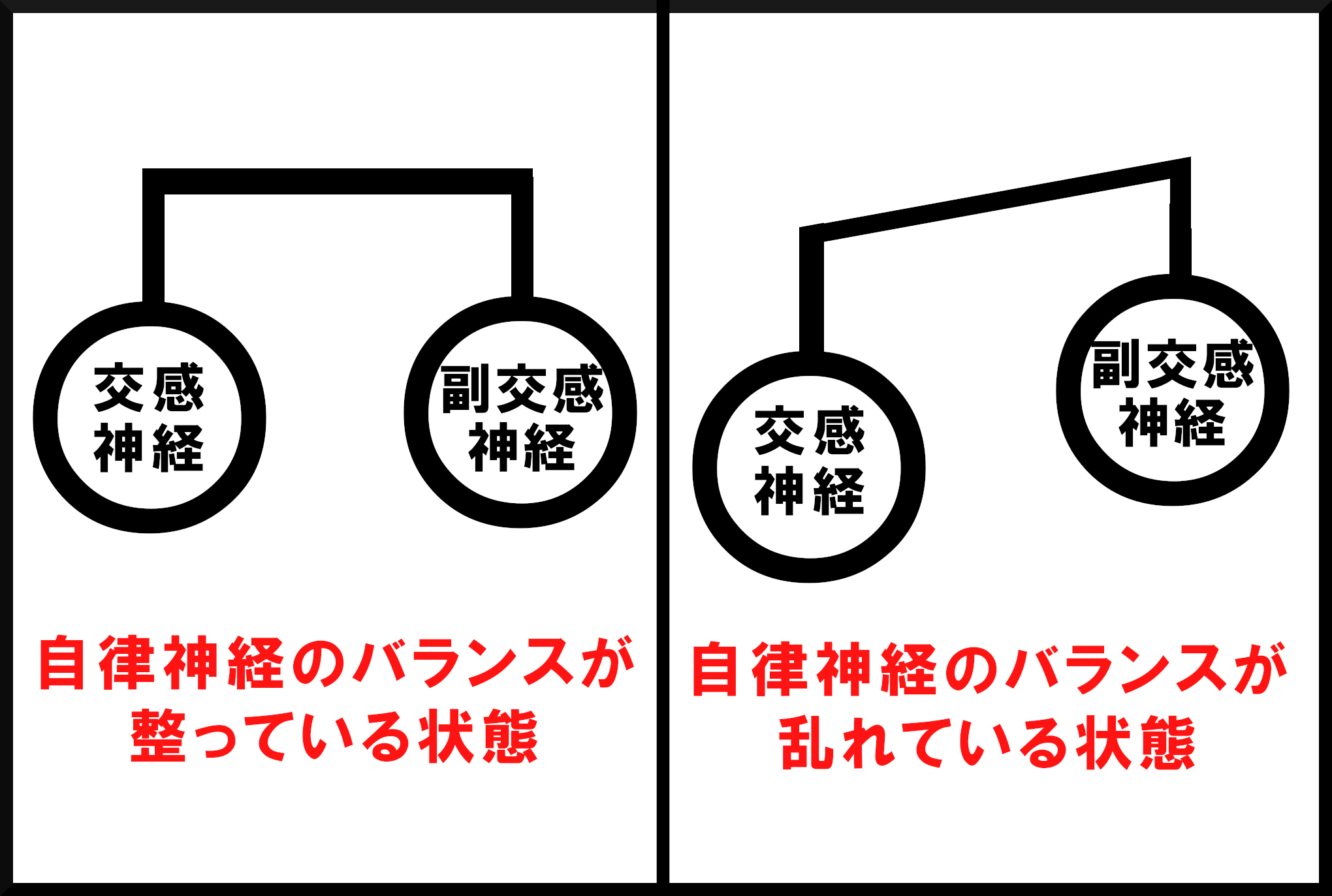 自律神経のバランス